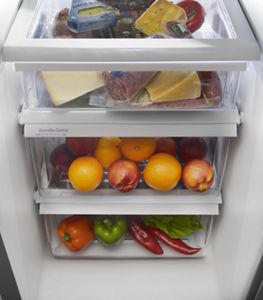 Stainless Steel 30 Inch Wide Top Freezer Refrigerator With
