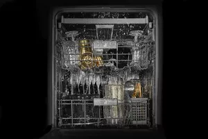 Quietest Luxury Dishwasher Brand