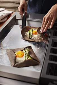 Chrome-Infused Electric Griddle