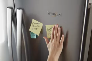 Fingerprint Resistant