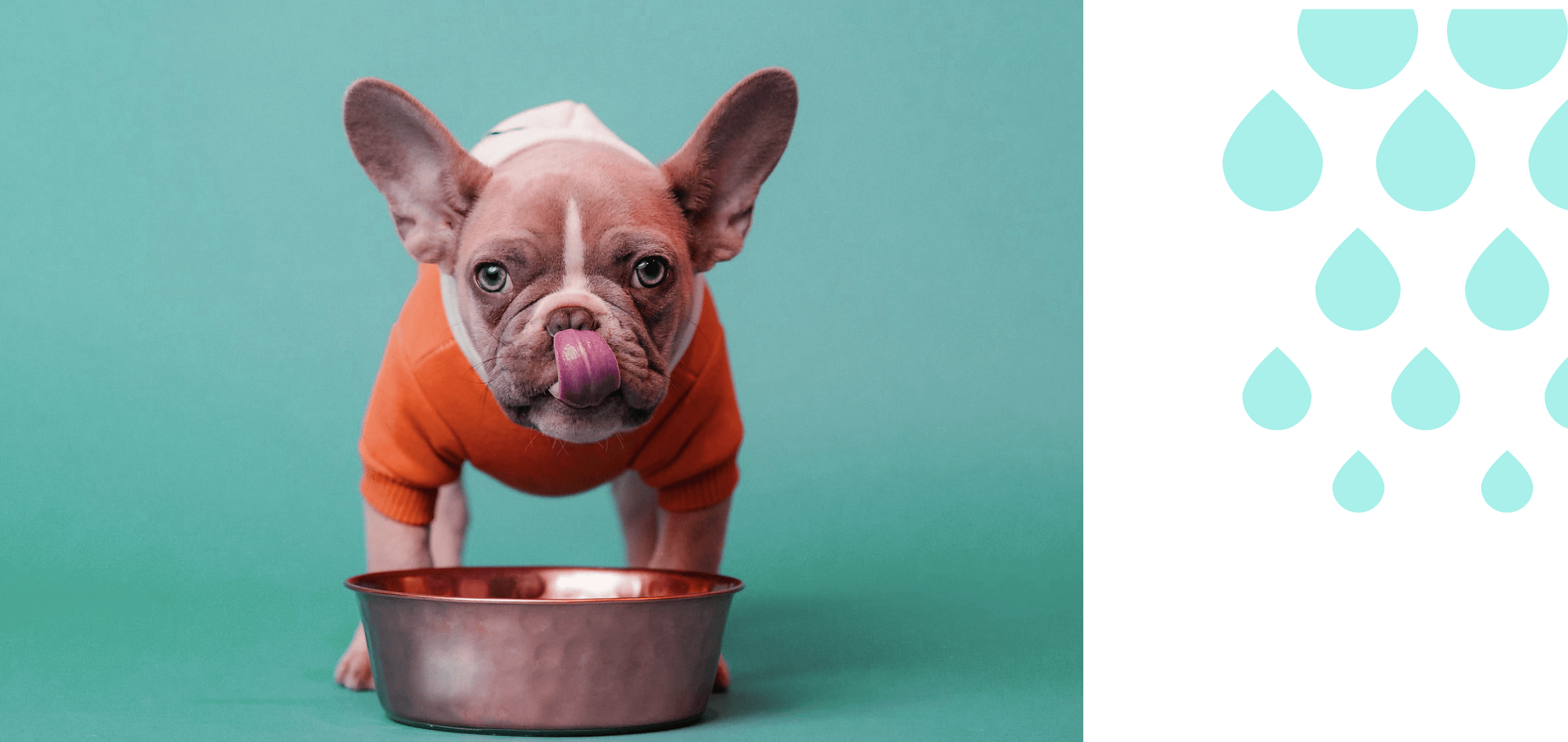 A dog drinking water out of a copper bowl.