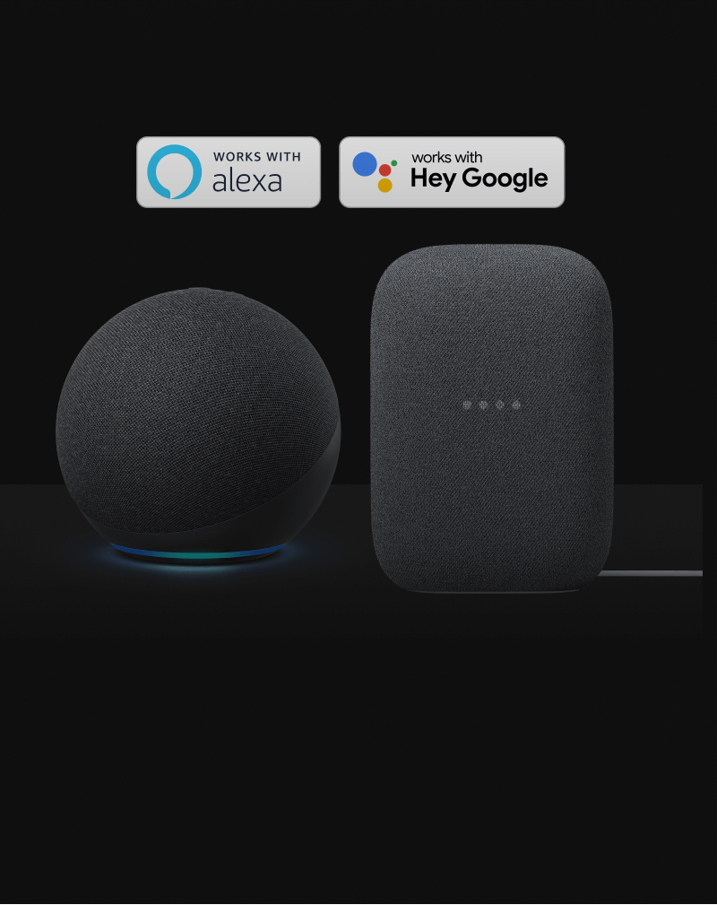 An Alexa-enabled device and a Google Assistant-enabled device on a black background.
