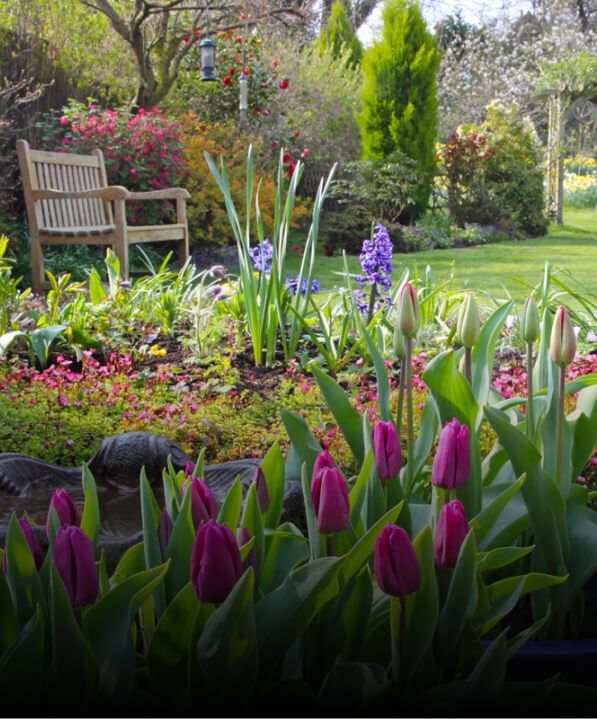 A countryside garden, with fresh seasonal spring flowers blooming and a wooden park bench in the background.