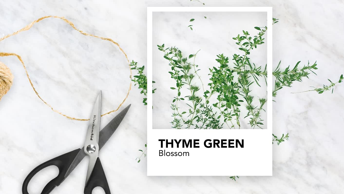 A color swatch over green thyme sprigs, with scissors and yarns also on a countertop.