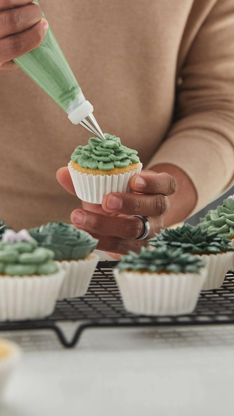 A person icing cupcakes to look like succulents. 