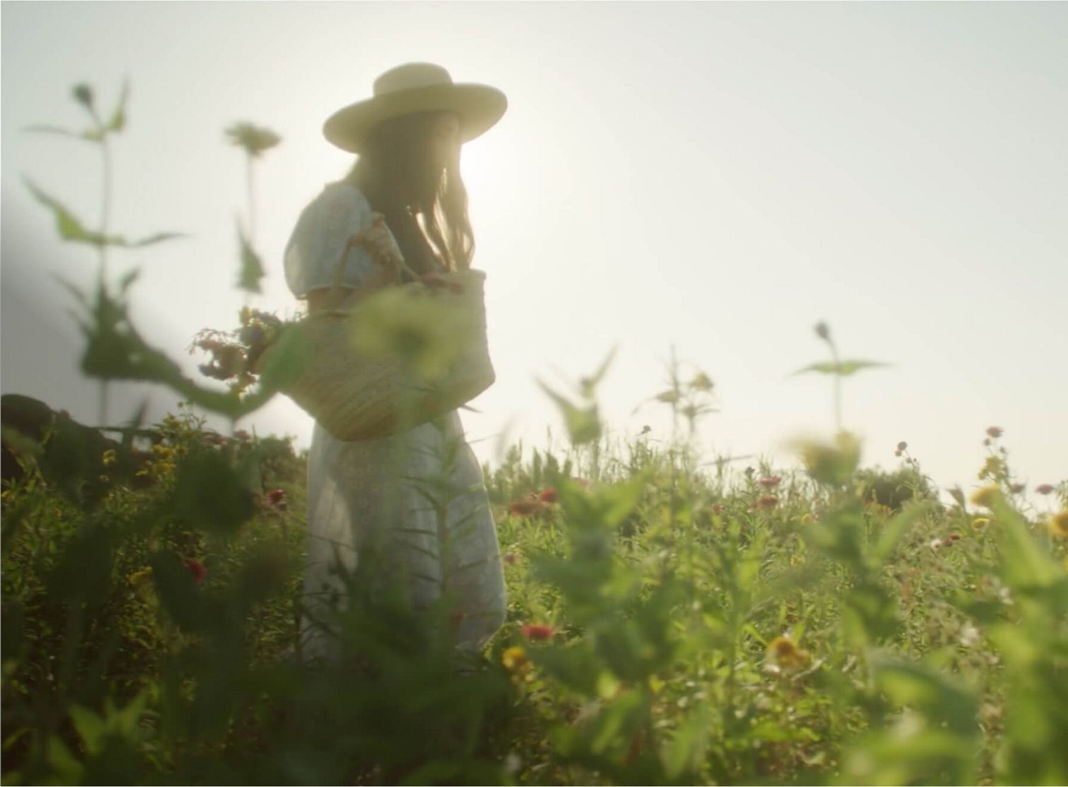 Loria Stern walking through a field of flowers.