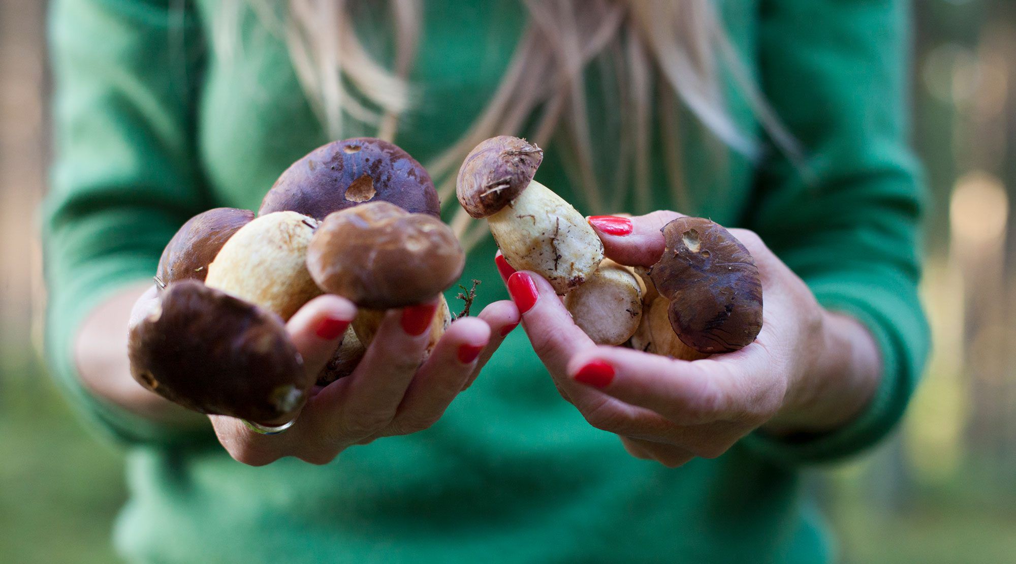 A person holding a handful of mushrooms.