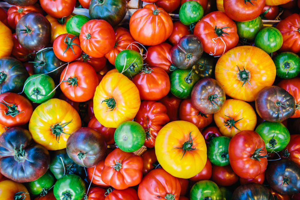 A colorful variety of heirloom tomatoes.