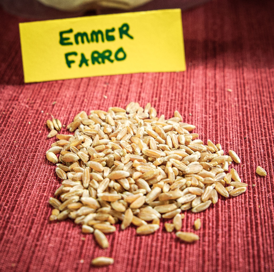 A small pile of Emmer Farro grain.