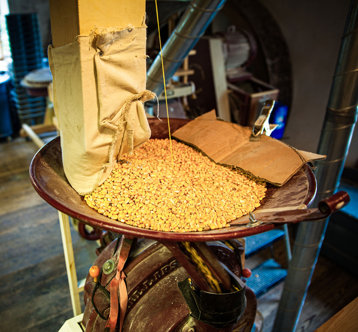 A bag of grain poured into a metal grain mill grinder.