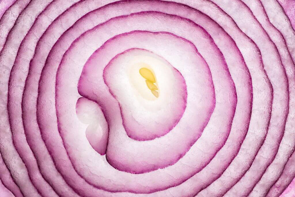 A close-up of the inner rings of a sliced red onion.