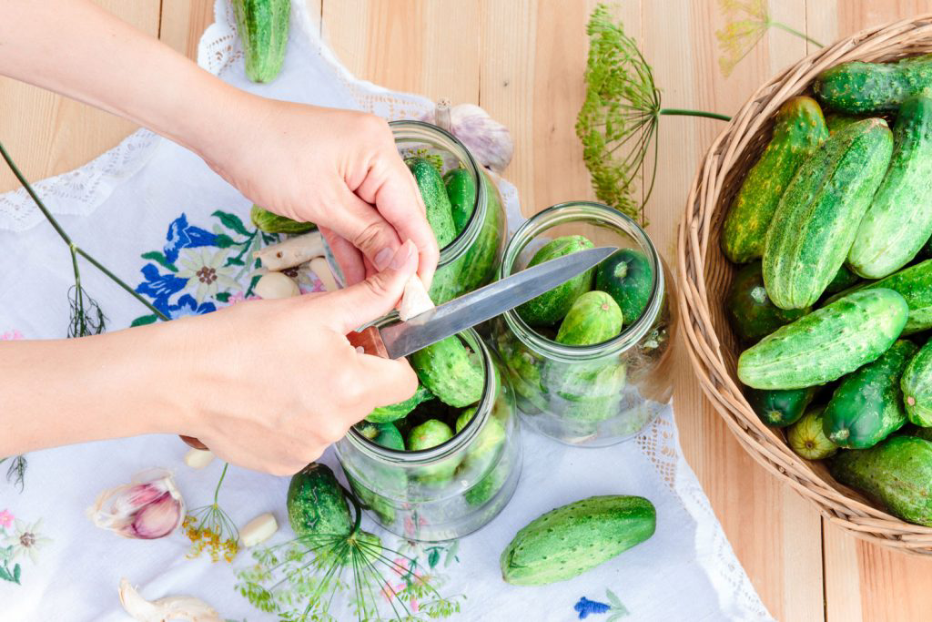 Short, thick cucumbers placed in glass jars waiting to be pickled with ginger and garlic.