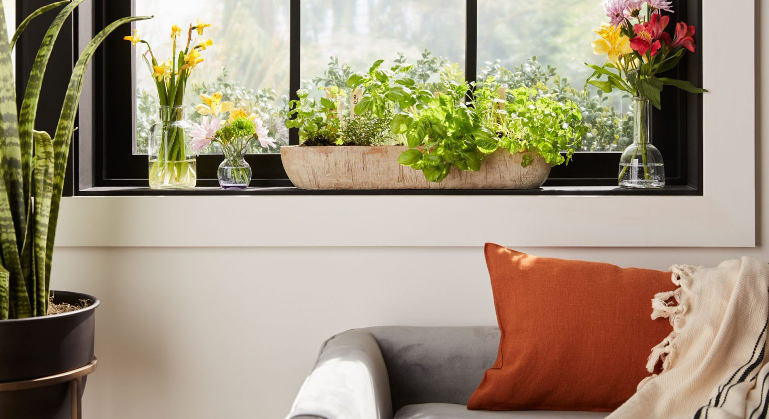 A window sill filled with plants.