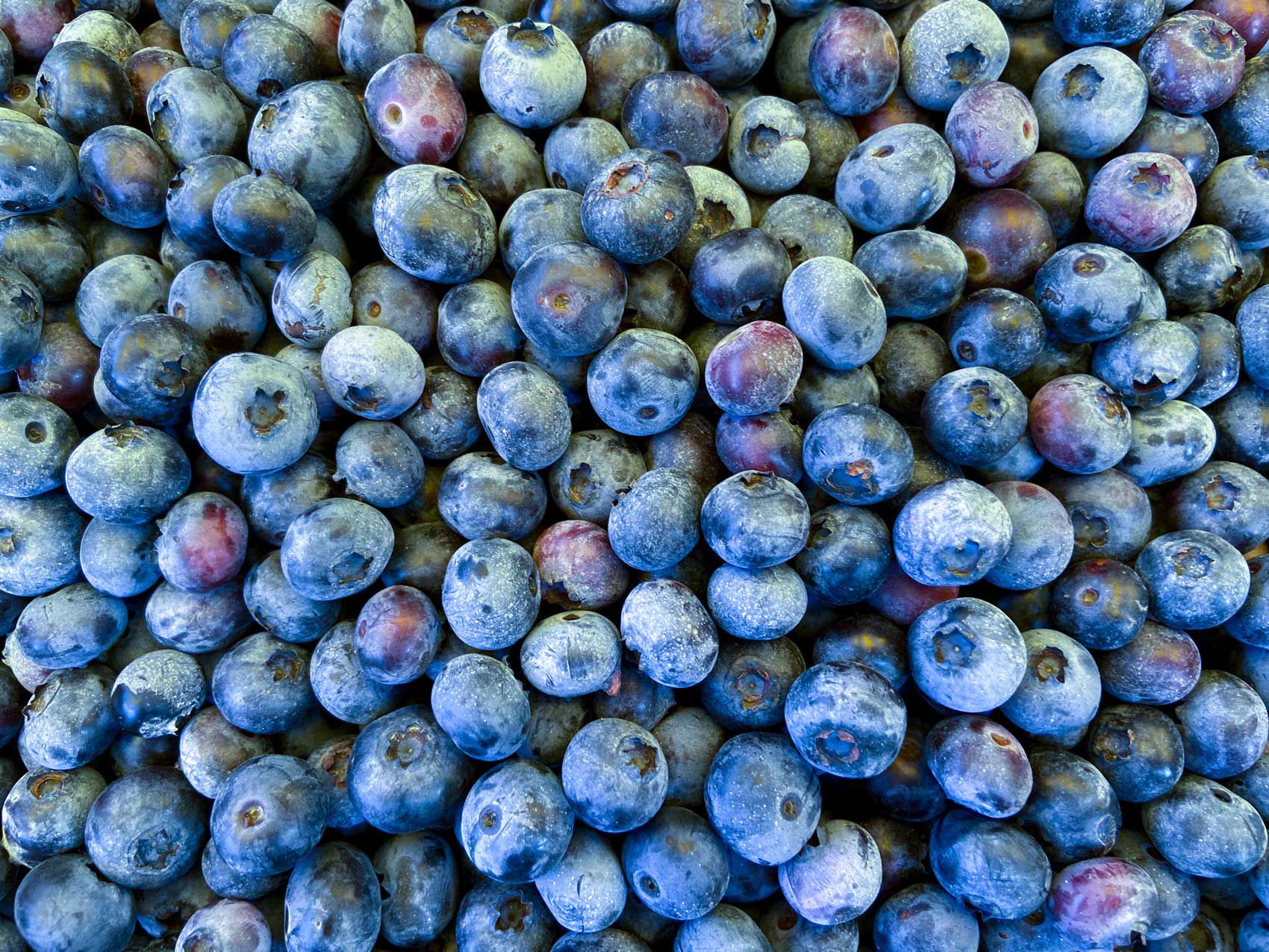 A close-up of clean, fresh blueberries.