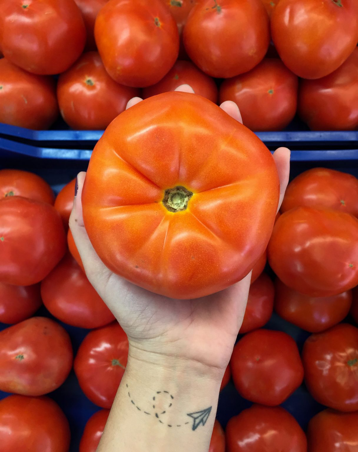A person grasping a large, red tomato.