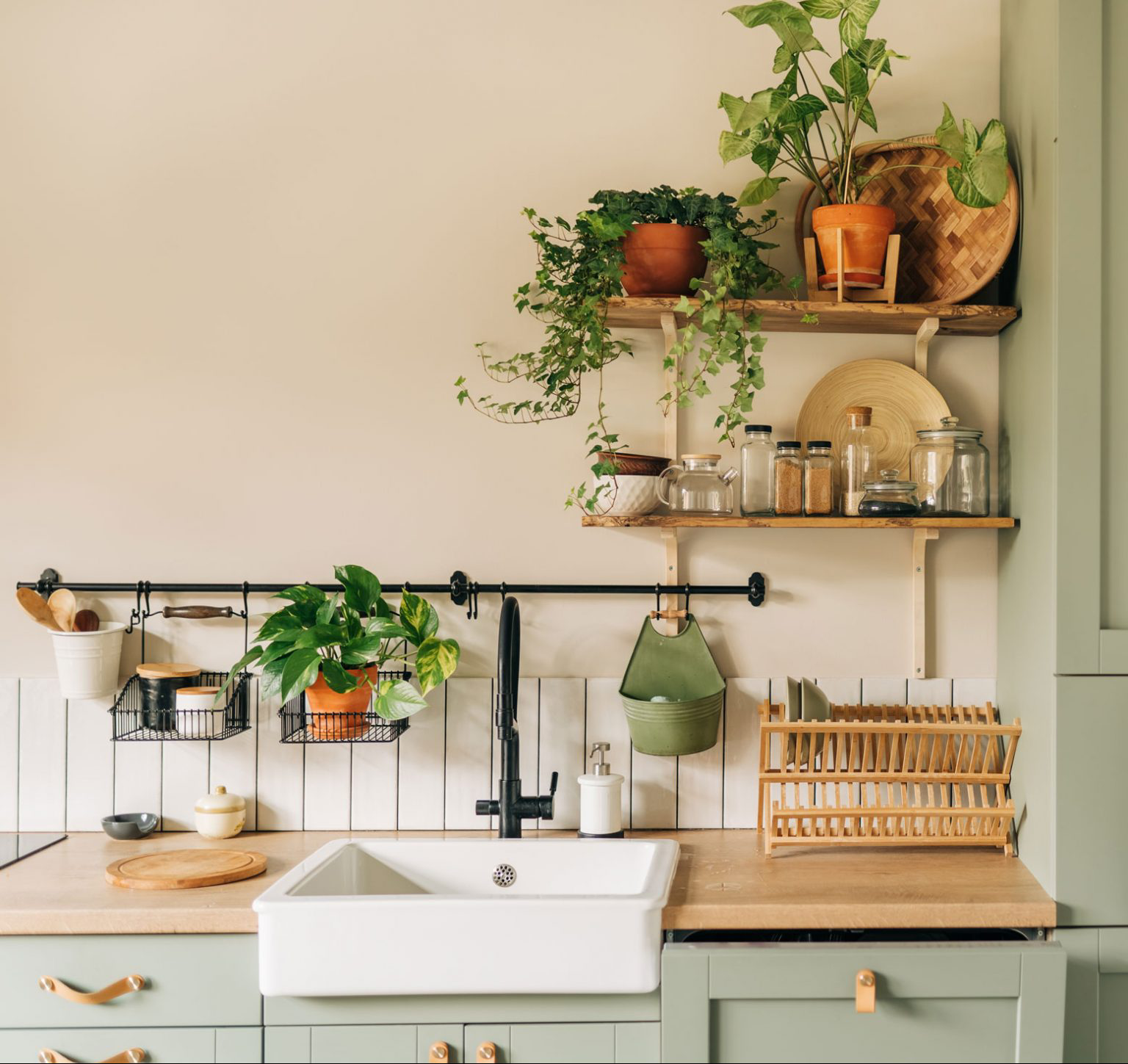 A bright kitchen filled with greenery.