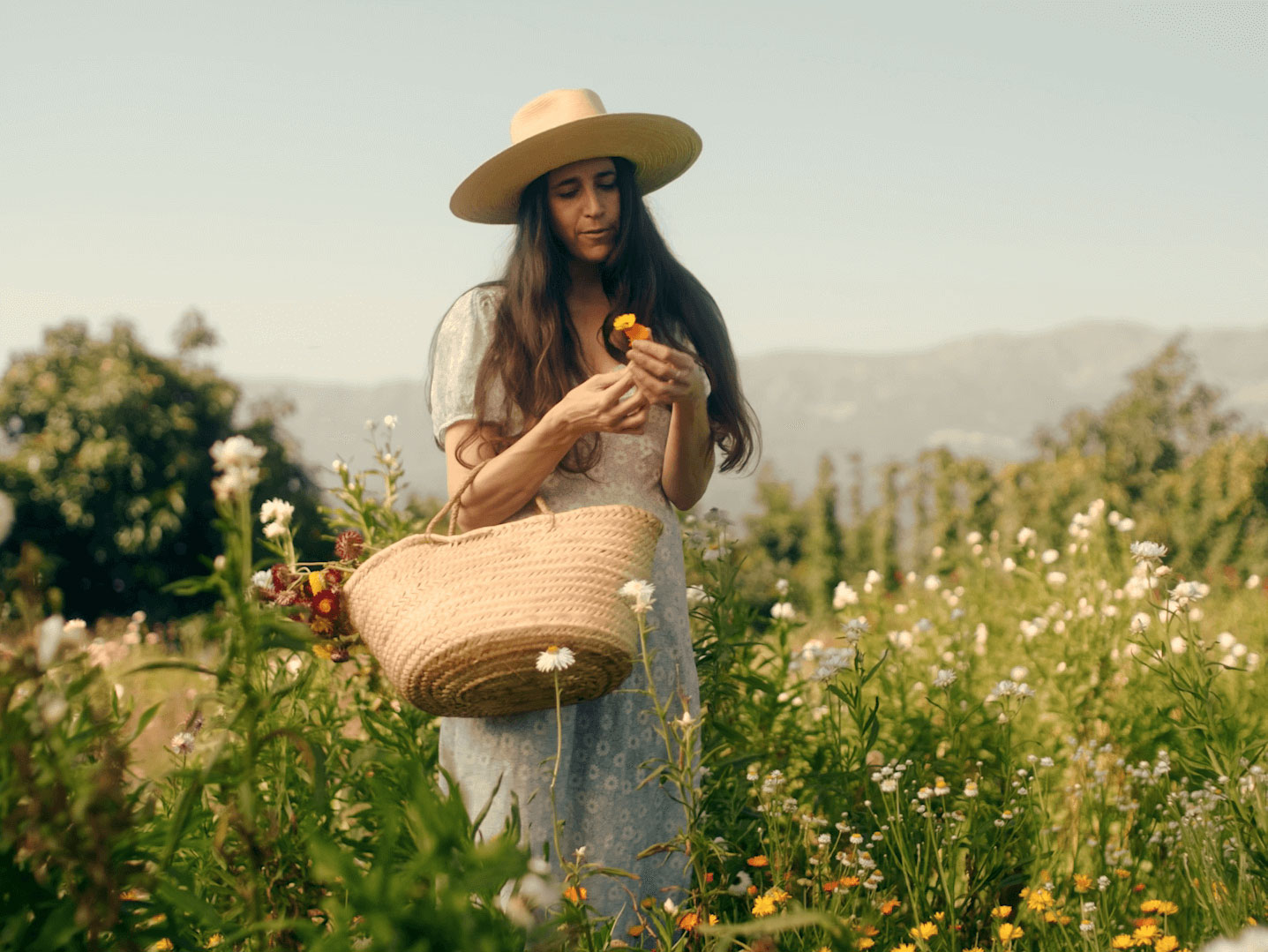 Loria Stern picking flowers in a field.