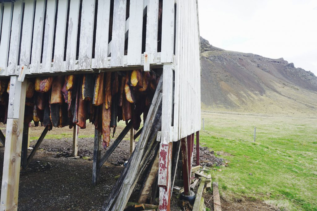 Fillets of fish hanging out to dry.