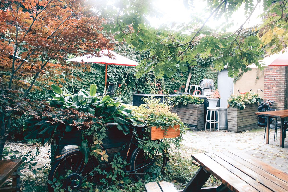 A patio with lush foliage, seating and bikes.
