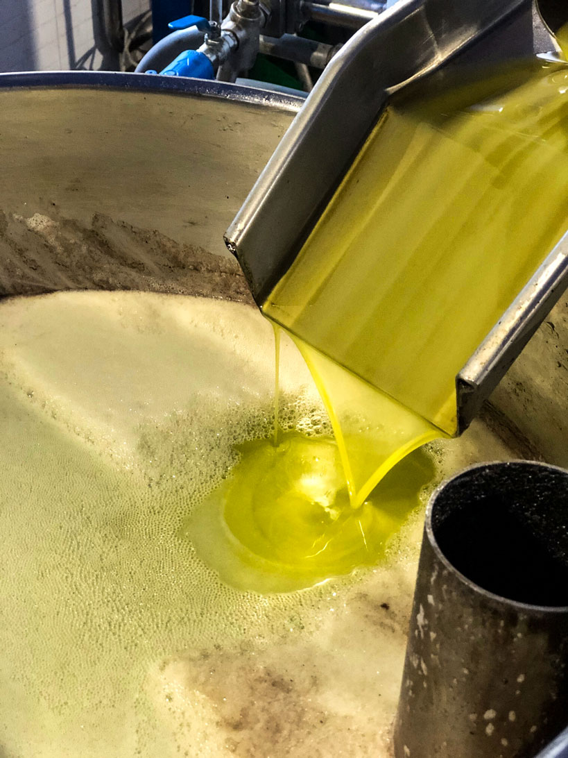 Olive oil in a large container.