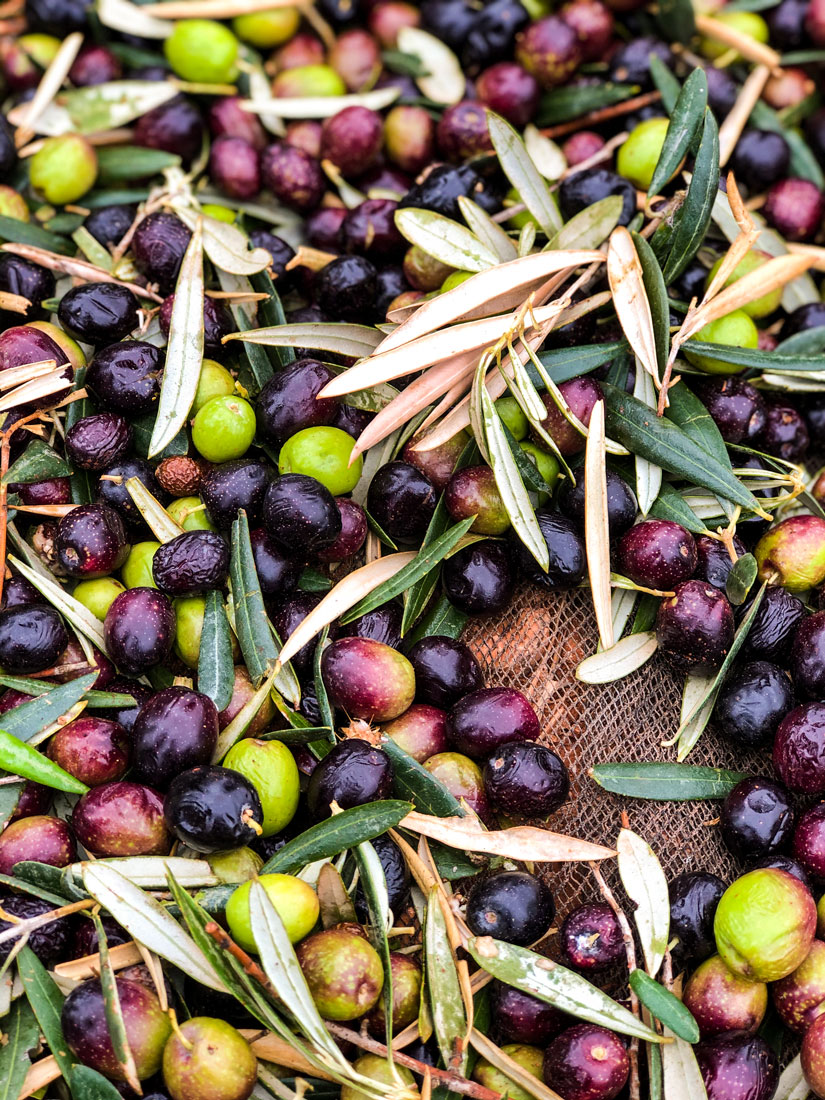 A large pile of olives.