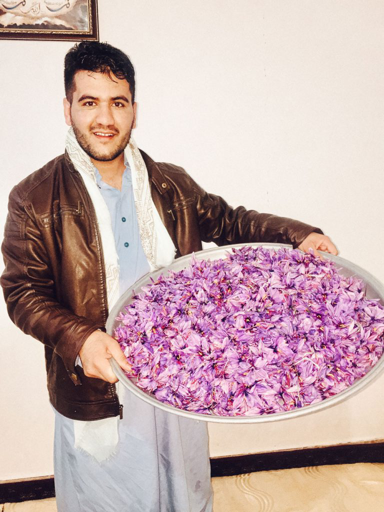 Mohammad Salehi holding a large bowl of Crocus Satvis flowers.