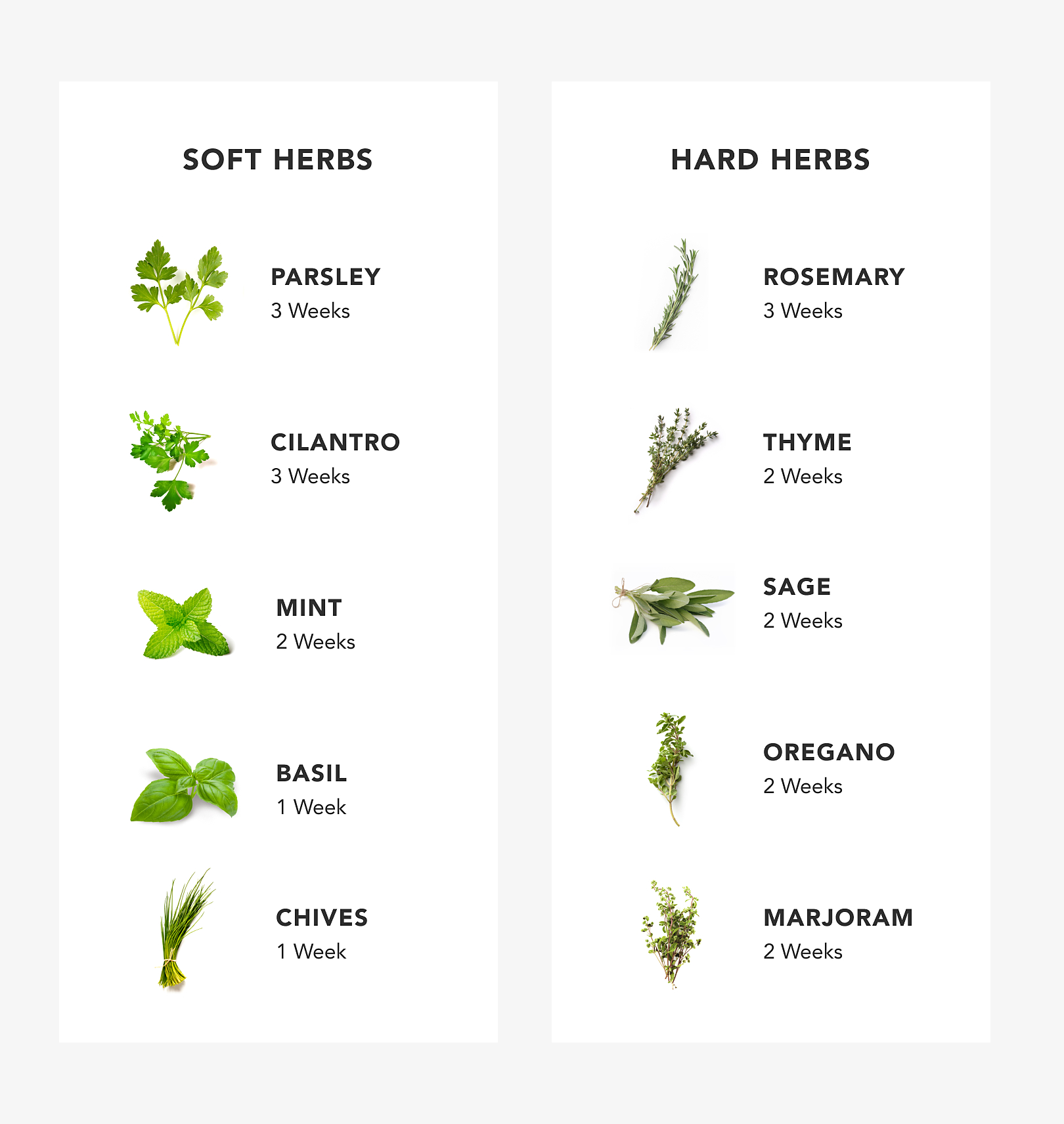 Chart with images of tender and woody herbs.