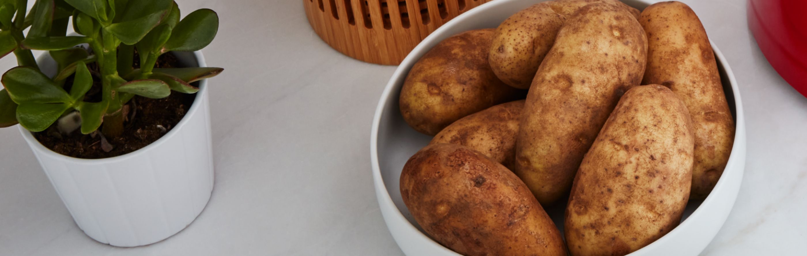 Baked potatoes in a dish on countertop