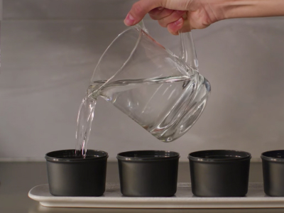 A pitcher pouring water into ice molds