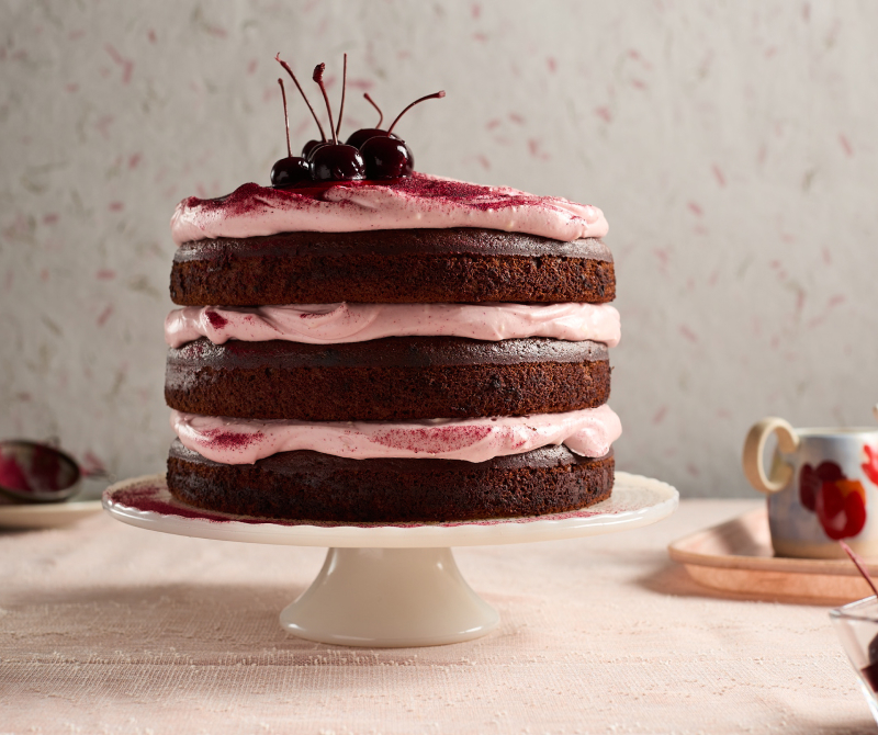 Chocolate layer cake with beet tinted frosting