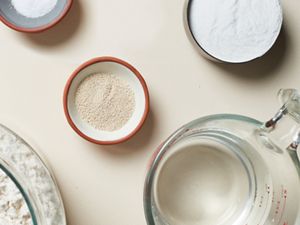 How to Knead and Make Dough in a Food Processor KitchenAid
