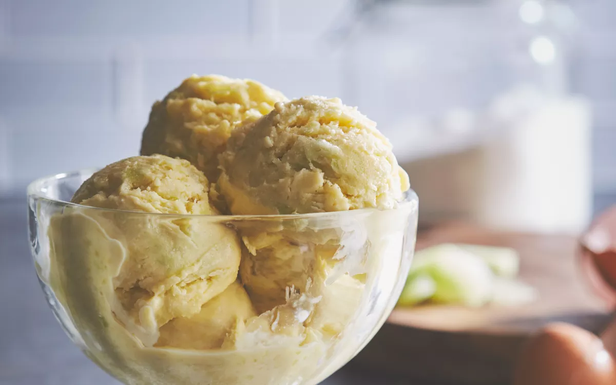 Kitchenaid Vanilla Ice Cream Maker Recipe! {Super Easy and Delicious}