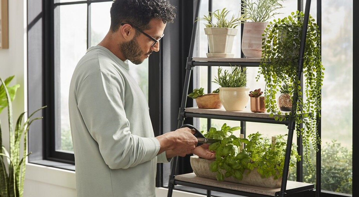 Man tending to his indoor herb garden