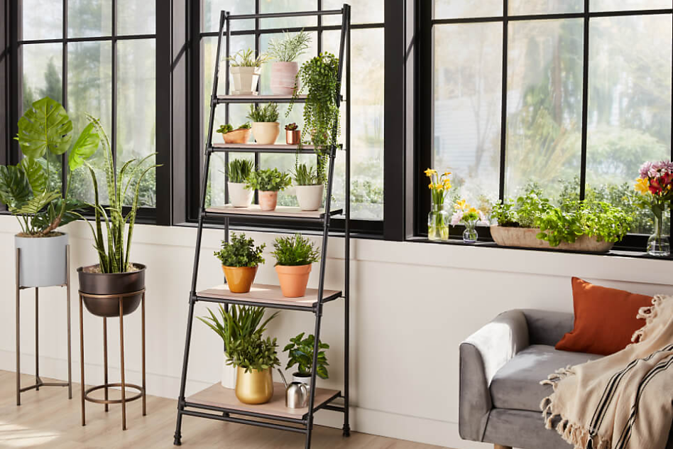 Ladder plant stand near a window