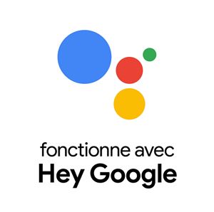 functionne avec Hey Google