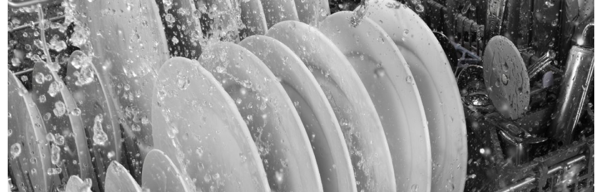 How does a dishwasher with hard food disposer differ vs filtration dishwashers.