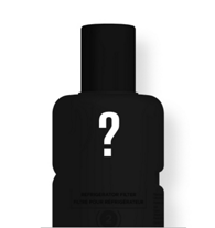 Unidentified refrigerator water filter.