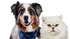 Maytag Pet Pro System Dog and Cat
