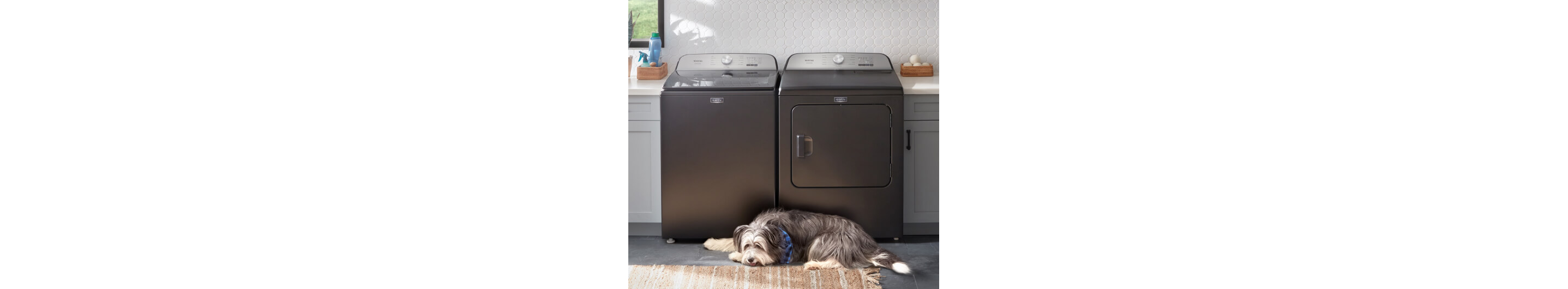 Maytag's Pet Pro System Washer and Dryer Could Be the Best Pet