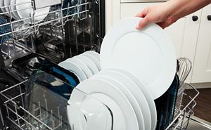 Dishwasher best sale safe plates