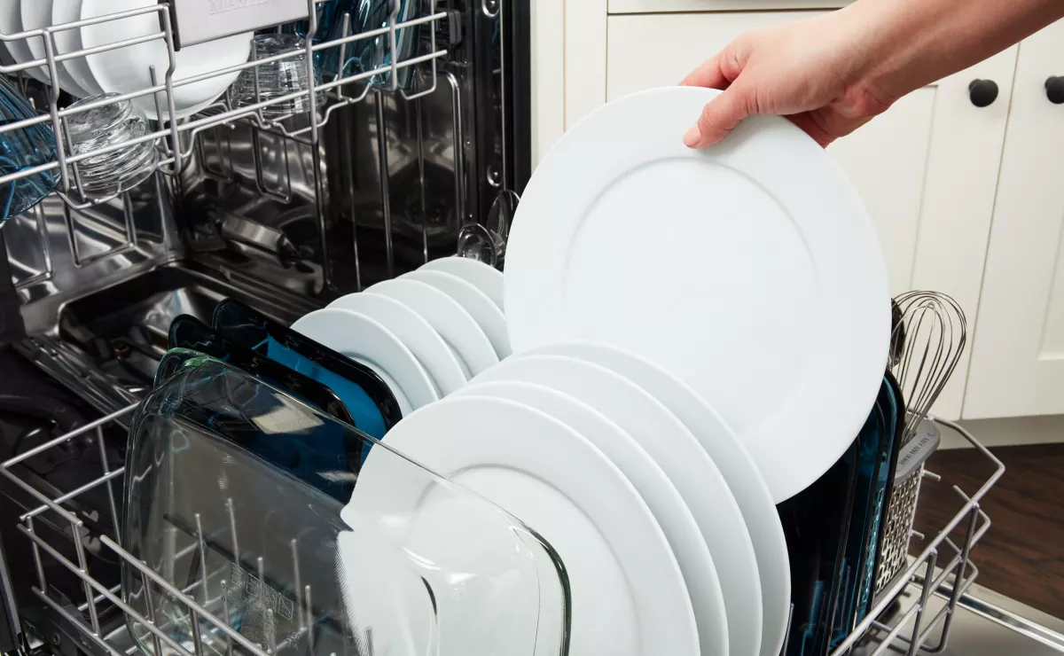 personalized electric dish dryer