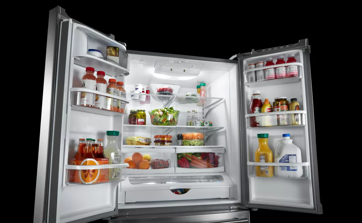 Parts of a Refrigerator: A Visual Guide