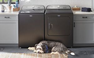 Best washer and dryer for dog hair cheap