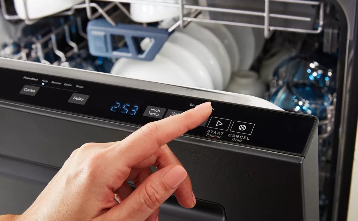 Resetting Dishwasher with Control Panel Issues |