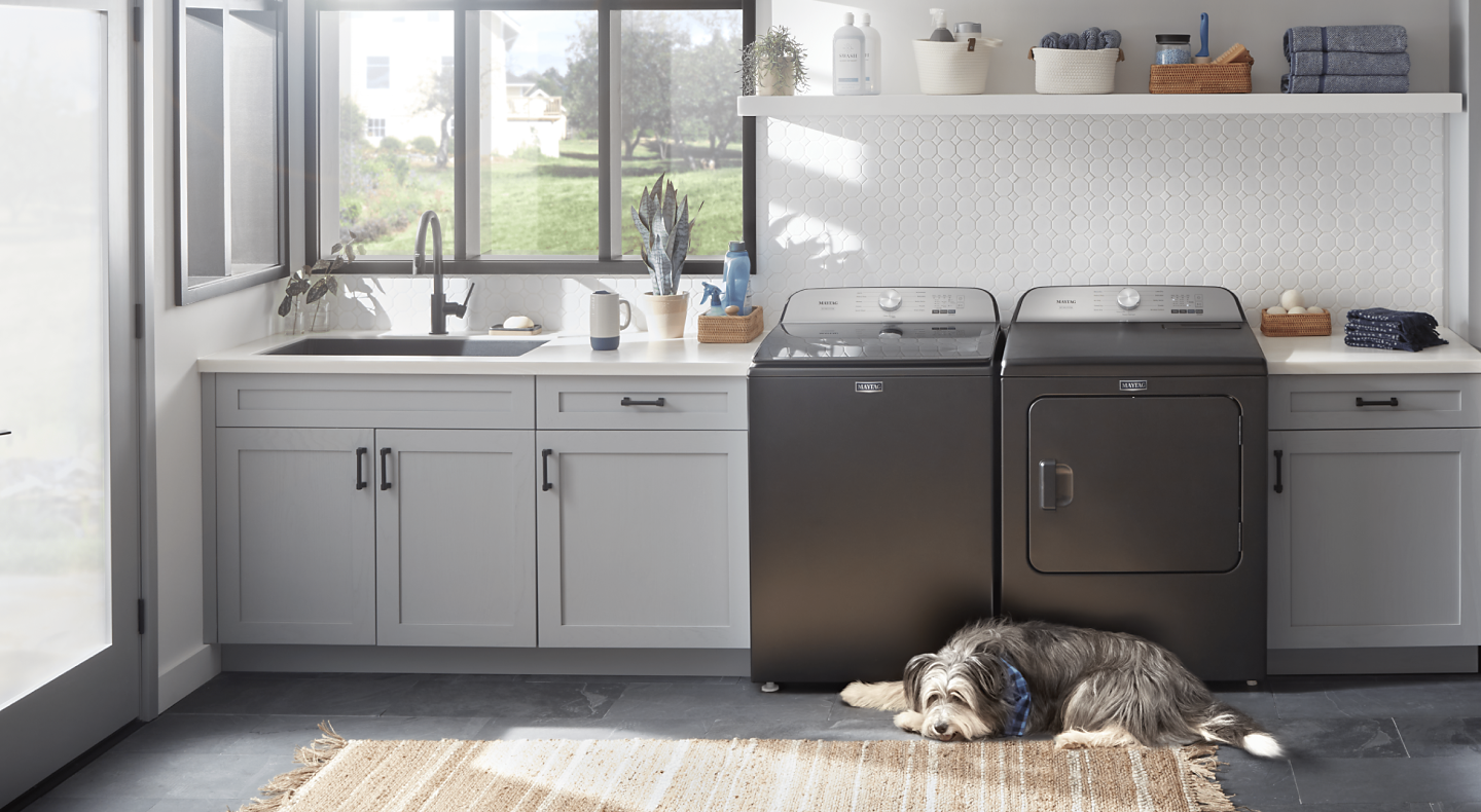 Dog laying in front of slate gray Maytag® washer and dryer