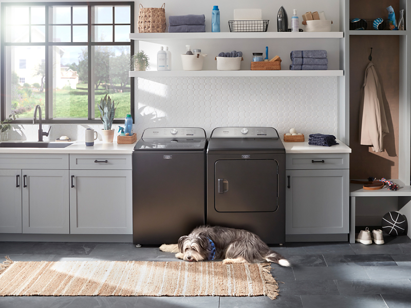 Dog laying in front of Maytag® washer and dryer set