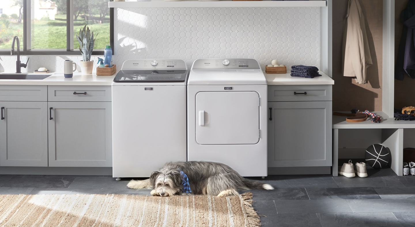 A dog lying in front of a Maytag® washer and dryer set