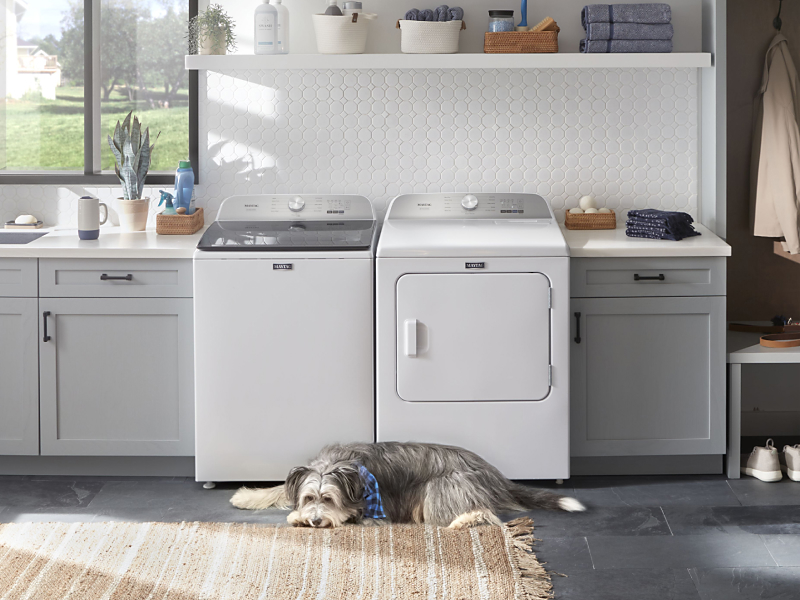A dog lying in front of a Maytag® washer and dryer set