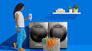 Liquid vs. Powder Detergent Which Is Best For You? Swash