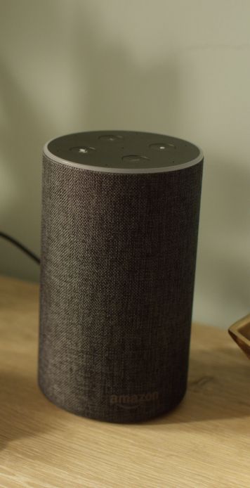 Works with Alexa-enabled devices like Amazon Echo.